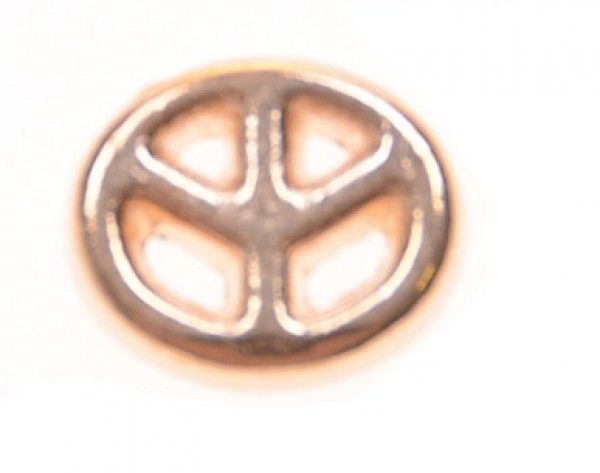 images/productimages/small/814_bedel-peace-voor-memory-lockets.jpg