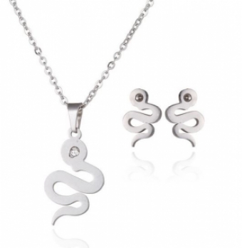 Ketting set Slang stainless steel zilver