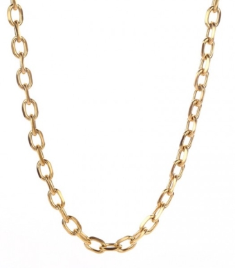 Ketting grote schakels 7 mm rvs goud