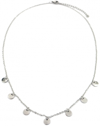 Ketting muntjes stainless steel zilver