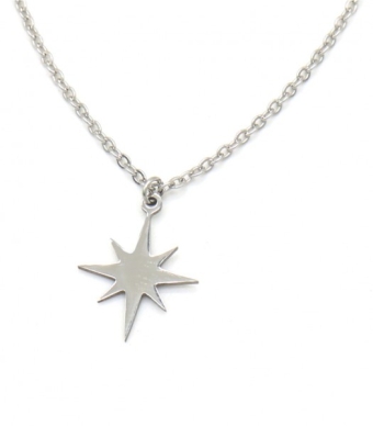 Ketting noorderster rvs zilver 