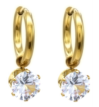 Oorbellen Hoops 12 mm ronde zirconia-st.steel goud