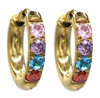 Oobellen Hoops 12 mm st. steel zirconia multi-goud