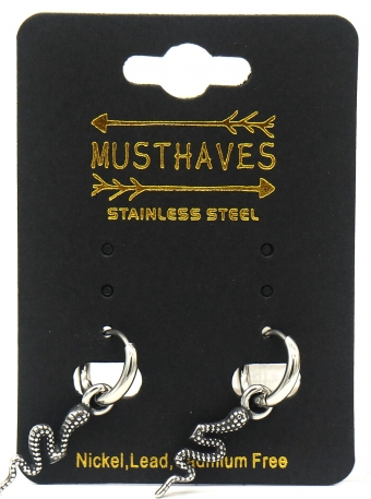 Oorbellen Hoops & slang rvs zilver 2