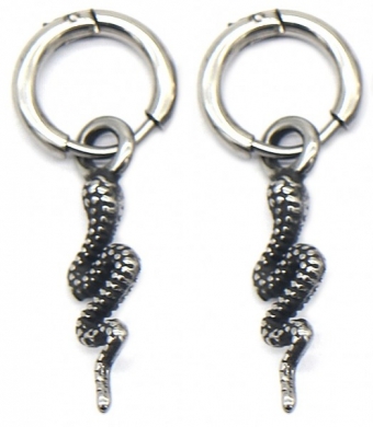 Oorbellen Hoops & slang rvs zilver