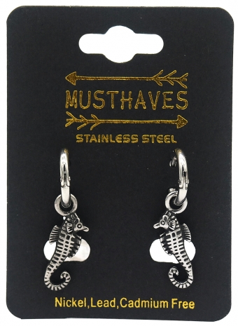 Oorbellen Hoops & zeepaardje rvs zilver