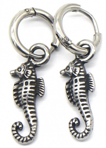 Oorbellen Hoops & Zeepaardje rvs zilver  2