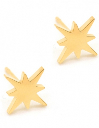 Oorbellen studs noorder ster stainless steel goud