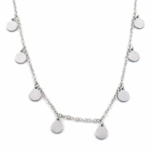 Ketting Muntjes klein stainless steel zilver