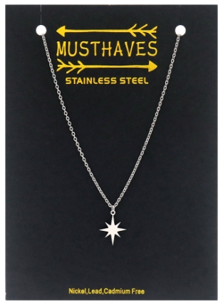 Ketting noorderster rvs zilver 2