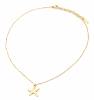 Ketting Zeester stainless steel goud