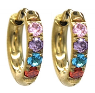 Oobellen Hoops 12 mm st. steel zirconia multi-goud