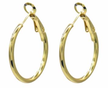Oorbellen Hoops 2,5 cm st-steel goud
