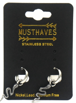 Oorbellen Hoops & slang rvs zilver 2