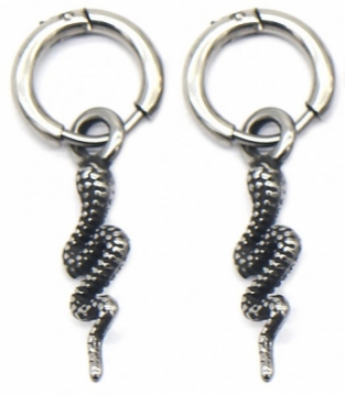 Oorbellen Hoops & slang rvs zilver