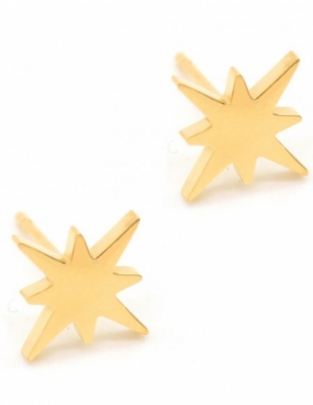Oorbellen studs noorder ster stainless steel goud