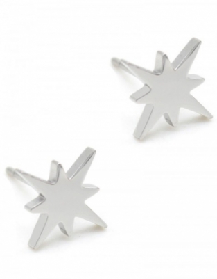 Oorbellen studs noorder ster stainless steel zilver